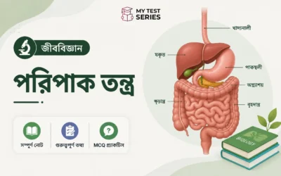 পরিপাকতন্ত্র সম্পূর্ণ নোটস ও MCQ — জীববিজ্ঞান বাংলা | MyTestSeries