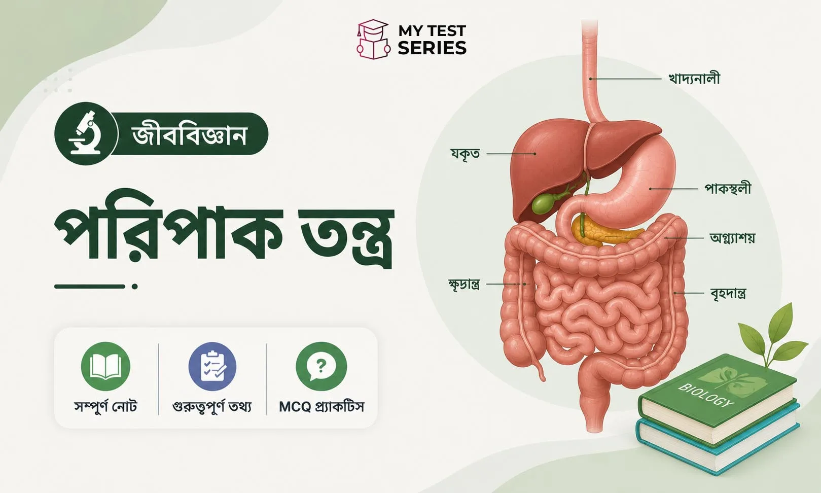 পরিপাকতন্ত্র সম্পূর্ণ নোটস ও MCQ — জীববিজ্ঞান বাংলা