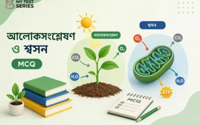 সালোকসংশ্লেষণ (Photosynthesis) ও শ্বসন (Respiration) — TET পরীক্ষার জন্য সম্পূর্ণ বাংলা গাইড। ২০টি MCQ অনলাইন প্র্যাকটিস টেস্ট সহ